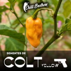 12 sementes de Pimenta Colt Yellow Chilli Brothers