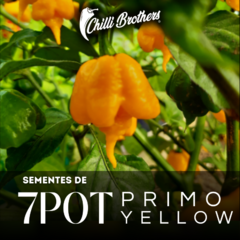 12 sementes de Pimenta 7pot Primo Yellow Chilli Brothers
