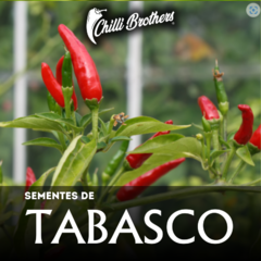 12 sementes de Pimenta Tabasco Chilli Brothers