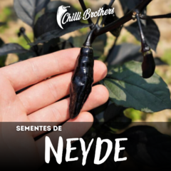 12 sementes de pimenta Neyde Chilli Brothers 