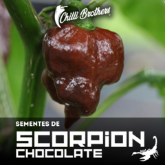 12 sementes de Pimenta Trinidad Scorpion Chocolate Chilli Brothers