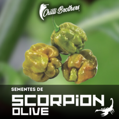 12 sementes de Pimenta Trinidad Scorpion Olive SEGUNDA MAIS FORTE DO MUNDO Chilli Brothers
