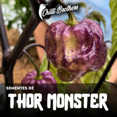 12 sementes de Pimenta Thor Monster