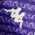 Camisa Fiorentina I Home 23/24 - Masculina - Modelo Torcedor - Roxa - loja online