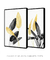 Quadro Decorativo Dupla-Bird-of-Paradise-Plant-BWG