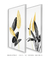 Quadro Decorativo Dupla-Bird-of-Paradise-Plant-BWG - comprar online