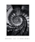 Quadro Decorativo Escada Espiral - comprar online