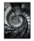 Quadro Decorativo Escada Espiral