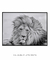 Quadro Decorativo Lion in the Wind na internet