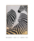 Quadro Decorativo Listra Zebra - THECORE