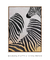 Imagem do Quadro Decorativo Listra Zebra