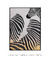 Quadro Decorativo Listra Zebra - comprar online