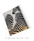 Imagem do Quadro Decorativo Listra Zebra