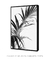 Quadro Decorativo Palm Leaves BW 3 - loja online