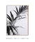 Quadro Decorativo Palm Leaves BW 3 - THECORE