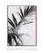 Imagem do Quadro Decorativo Palm Leaves BW 3