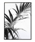 Quadro Decorativo Palm Leaves BW 3