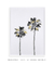Quadro Decorativo Palm Tree BWG 1 - comprar online