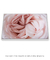 Quadro Decorativo Rosa Rosa - loja online