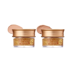 SKINFOOD Salmon Dark Circle Concealer Cream 10g (Creme Corretivo)