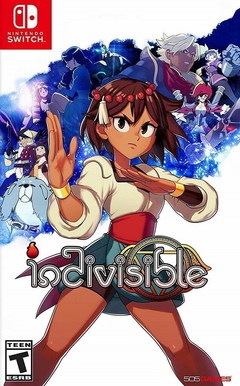 NSW INDIVISIBLE