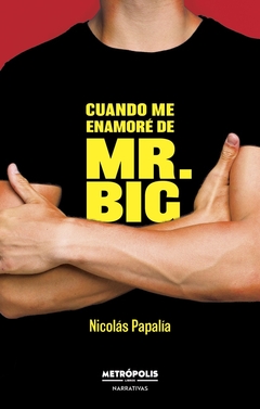 CUANDO ME ENAMORÉ DE MR. BIG