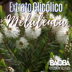 Extrato Glicólico de Melaleuca