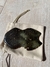 GUA SHA - tienda online