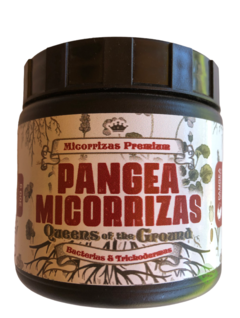 PANGEA QUEEN OF THE GROUND 200gr Micorrizas bacterias y trichodermas