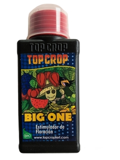 Big One Bioestimulante para la Floracion 100cc Top Cop - comprar online