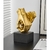 Imagem do Escultura Hold | Gold