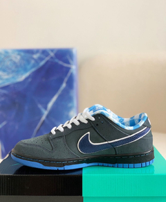 SB Dunk Low 10/20 dias na internet