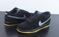 SB Dunk Low 10/20 dias na internet