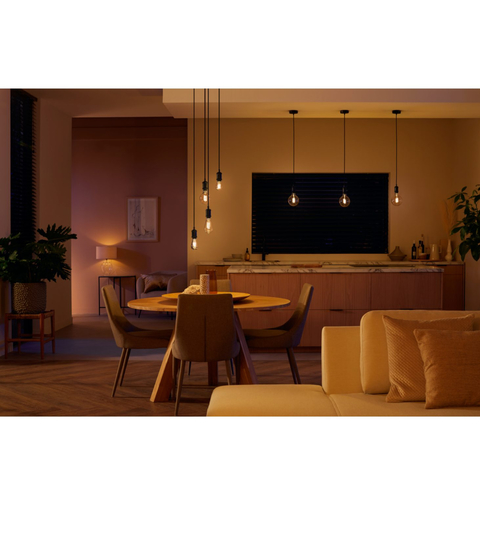 Philips Hue G125 l Lâmpada Bluetooth Filamento l Retrô Vintage l Globo Gigante l 220V l Compatível com Alexa, Apple Homekit & Google Assistant | Funciona com Bluetooth e/ou com a Hue Bridge - buy online