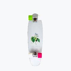 Skate Cruiser Hondar HLB 27 X 5'' - Flora