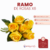 Ramo de Rosas x 6 - CandyCraft Souvenirs en Once