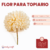 Flor Para Topiario - comprar online