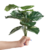 Planta Artificial 35 cm - Pothus en internet