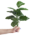 Planta Artificial 35 cm - Hoja de Corazon Chica en internet