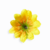 Mini Girasol - tienda online