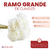 Ramo de Claveles Grande - comprar online