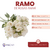 Ramo de Rosas Anahí - tienda online