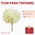 Flor Para Topiario - tienda online