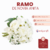 Ramo de novia Anita - comprar online