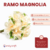 Ramo Magnolia - comprar online