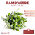 Ramo Verde Mini Calas - comprar online