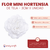 Mini Hortensia - tienda online