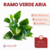 Ramo Verde Modelo Aria - comprar online