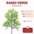 Ramo Verde Bonsai - comprar online