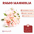 Ramo Magnolia - CandyCraft Souvenirs en Once